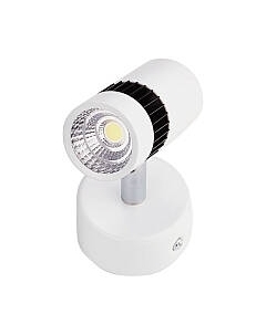 Спот Ambrella TN101/10W WH/BK