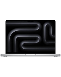 Ноутбук Apple Macbook Pro 14.2 M4 Max 2024 / MX2G3