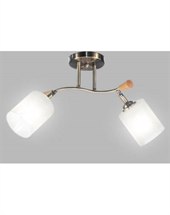 Спот Aitin-Pro НПБ 02-2x60-101 / N6405/2 Aitin-pro