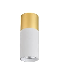 Потолочный светильник FAVOURITE 3073-1C Favourite