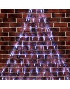 Светодиодная сеть Neon-Night 215-055 Neon-night