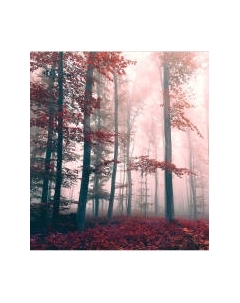 Шторка-занавеска для ванны JoyArty Загадка леса / sc_7206 Joyarty