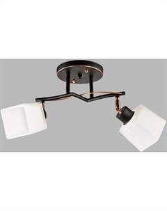 Спот Aitin-Pro НПБ 02-2x60-101 / 1338/2 Aitin-pro