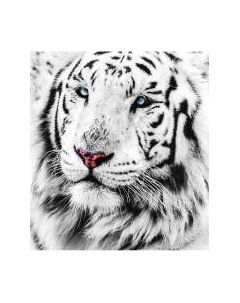 Шторка-занавеска для ванны JoyArty Белый тигр / sc_12734 Joyarty