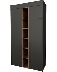 Шкаф Рэйгрупп Рэй S262-В4-WKW В4