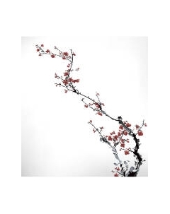 Шторка-занавеска для ванны JoyArty Ветка направления / sc_9111 Joyarty