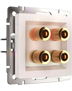 Розетка Werkel W1185013