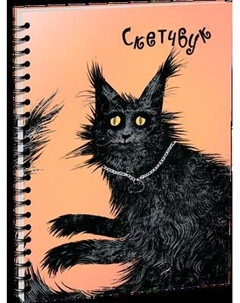 Скетчбук Попурри Кошачий король