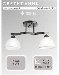 Потолочный светильник Aitin-Pro НПБ 02-2x60-101 / 8205/2 Aitin-pro