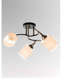 Спот Aitin-Pro НПБ 02-3x60-101 / N6089/3 Aitin-pro