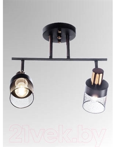 Спот Aitin-Pro НПБ 02-2x60-101 / N6239/2 Aitin-pro