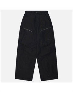 Мужские брюки NSE New The north face