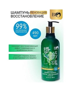 Шампунь-восстановление "Черный тмин, бесцветная хна" Botanic Life 490 Bioworld