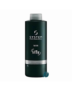Шампунь против перхоти MAN ANTI-DANDRUFF SHAMPOO 1000 System professional