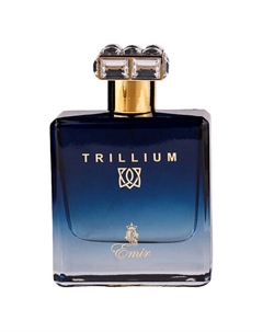Парфюмерная вода Emir Trillium 100 Paris corner