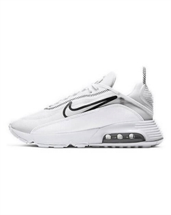 Кроссовки Air Max 2090 White Black White Nike