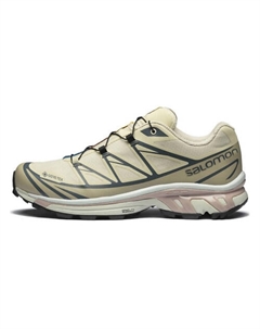 Кроссовки XT 6 'Almond Milk Mauve' Salomon