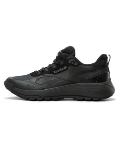 Кроссовки Dmx Trail GORE TEX 'Black Pure Grey' Reebok