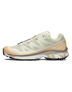 Кроссовки XT 6 'Aloe Wash Hazelnut' Salomon