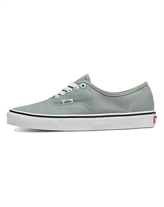 Кроссовки Authentic 'Color Theory Iceberg Green' Vans
