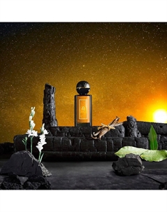 Духи Sans Rival Lion 100 Maison douze