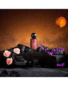 Духи Accord Tacite Libra 100 Maison douze