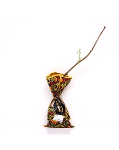 Саженец Смородина черная (ОКС) Сластена, 1 шт, Осень 2025 Сады урала