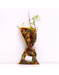 Саженец Жимолость (ОКС) Бореал Близзард, 1 шт, Осень 2025 Сады урала