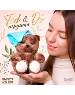 Мягкая игрушка «Малыш Ted» мишка, 25 см Milo toys