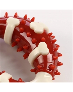 Игрушка для собак «Кость» Premium, 12.5 см, TPR+нейлон Пижон