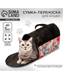 Сумка - переноска «Котиков много не бывает», 41×30×24 см Пушистое счастье