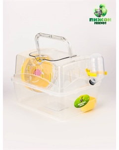 Клетка-переноска для грызунов, 23×17×16 см, прозрачная Пижон