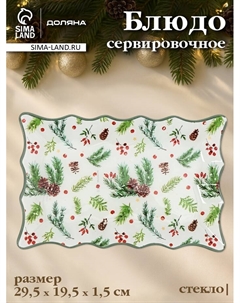 Блюдо новогоднее сервировочное «Еловые ветки», 29.5×19.5 см, стекло, белое, зелёное Доляна