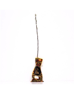 Саженец Яблоня штамбовая (на семенном подвое) ОКС Настенька, 1 шт, Осень 2025 Сады урала