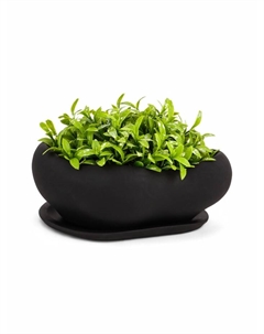 Горшок для для кактусов и суккулентов «Бонсай малый», 600 мл, 17×14×7 см, керамика, с поддоном, чёрный Хорошие сувениры