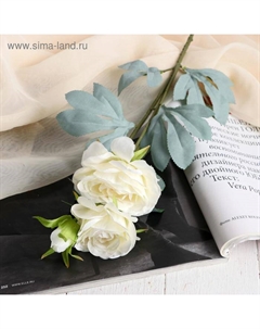 Цветы искусственные «Пион лекарственный», 9×60 см, белые Poetry in flowers