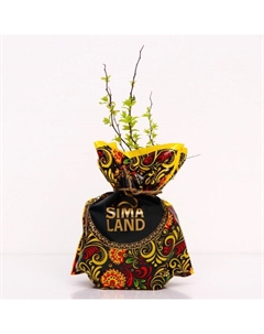 Саженец Спирея (горшок р9) Голден принцесс, 1 шт, Осень 2025 Сады урала