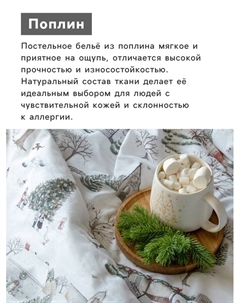 Постельное бельё евро «» Winter countryside, поплин Этель