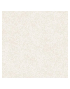 Обои дуплекс «. Д978-05», на бумажной основе, 10.05×0.53 м, цвет бежевый Саратовские обои