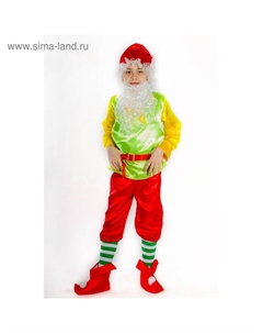 Карнавальный костюм «Гном», колпак, борода, рубашка, пояс, штаны, башмаки, р. 28, рост 110 см Карнавалия чудес