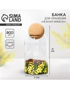 Банка для хранения сыпучих продуктов и круп «Нежная мимоза», 800 мл Дорого внимание