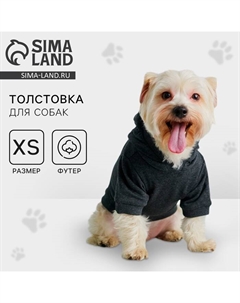 Толстовка однотонная для собак (футер), размер XS (ДС 18, ОШ 28-30, ОГ 38-40), серая Пушистое счастье