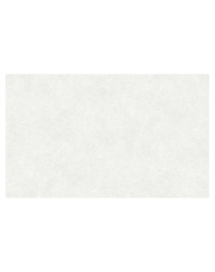 Обои виниловые горячего тиснения R 60846-02, на флизелиновой основе, 1.06×10 м, цвет бежевый Erismann