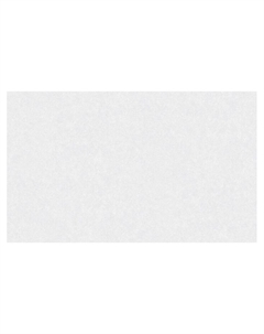 Обои виниловые горячего тиснения R 60831-02, на флизелиновой основе, 1.06×10 м, цвет белый Erismann