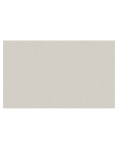 Обои виниловые горячего тиснения R 60969-03, на флизелиновой основе, 1.06×10 м, цвет бежевый Erismann