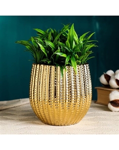 Кашпо "Кактус" 14х12х12см Take it easy