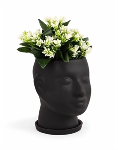 Горшок-органайзер «Голова», керамика, чёрное, 3 л, 24×19 см Хорошие сувениры