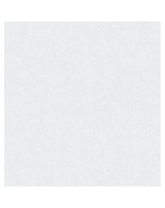 Обои бумажные на бумажной основе Ф862-06 10.05*0.53 Саратовские обои