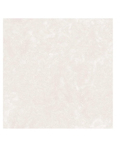 Обои бумажные на бумажной основе Ф778-02 10.05*0.53 Саратовские обои