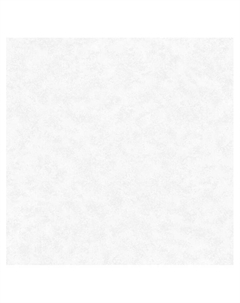 Обои бумажные на бумажной основе Ф778-06 10.05*0.53 Саратовские обои